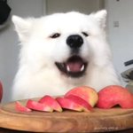 내 친구들이 내 본진 개싫어함