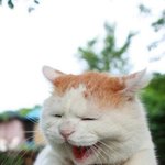 1학기 <b>생기부</b> 언제까지 고칠 수 있는지 아는사람 제발ㅠㅠㅠ!!