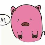 [댓글부탁해] 고2 문과 내신 4등급에서 올릴 수 있을까..?