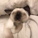 [댓글부탁해] 요즘 많이 듣는 곡 뭐냐