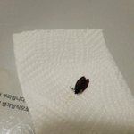 [꼭봐주세요] 저 라면못먹어요이제ㅡㅡ