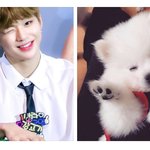 [강다니엘] 멈<b>무야</b>ㅠㅜㅜㅜㅜㅜ