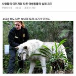 [명랑엽떡] <b>야생동물</b> 실제 크기