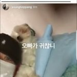 [댓글부탁해] 홍원이 ㅠㅠ 오빠가 귀찮니래 ㅋㅋㅋㅋㅋㅋㅋ