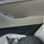 [댓글부탁해] <b>홍원</b>이 오늘 저녁6시 앨범나와 많이들어조❤❤❤❤❤