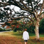 [방탄소년단] 애들이 <b>소바</b> 힘내라고 짹 올려주는 기분갖자