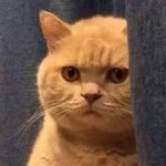 [꼭조언부탁] <b>페미니즘</b>이 무엇인가요?