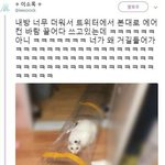 [댓글부탁해] 수학여행 코디 추천좀ㅠ!!