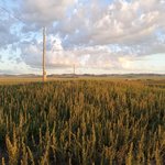 [댓글부탁해] 박시온 <b>박시우</b> 딱 이름만 들으면 어떤 성별일꺼같아...