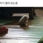 [댓글부탁해] 얘들아 나 영어 진짜 잘<b>하눈</b>데 질문 있어??