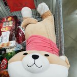 애들아 이거봐 귀엽지
