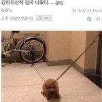 얘들아 <b>취미생활</b>로