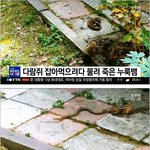 [명랑엽떡] 다람쥐의 <b>위엄</b>