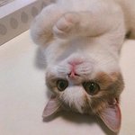 [드루와] 얘들아 할 거 없을<b>때</b> 이거 꼭봐봐