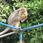 페북 끊는 <b>꿀팁</b> 좀ㅠㅠㅠㅠㅠ