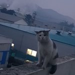 [드루와] <b>치아</b>교정 궁금한 거 다 물어봐