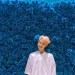 [방탄소년단] <b>뷔</b>가 찍은 사진