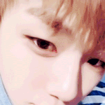 [강다니엘] 강다니엘, 8월 보이그룹 <b>개인브랜드</b> 평판 1위