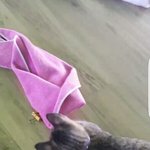 [댓글부탁해] 괭이 뒤통수 개<b>이득</b>