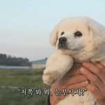 [조언부탁해] 아 미치겠네ㅋㅋㅋㅋ아싸될 각임