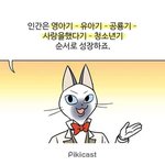 치킨 어떤거 시켜먹을까
