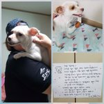 [강아지] 아이들 <b>입양</b>소식 입니다