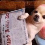 <b>베개</b>가시원하고좋네요