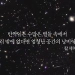 죽는게 미련인 이유