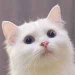 블러셔ㅊㅊ좀 해주라ㅜㅜ