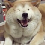 9월달에 춘추복 <b>입음</b>?