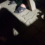 [댓글부탁해] 취<b>새서</b> 로른제 땅ㅇ에 졸도쭈림 ㅍ퓨ㅠㅍ