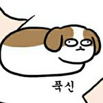 [댓글부탁해] "착한 얼굴에 그렇지 못한 태도" 시리즈 아냐