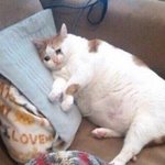 [댓글부탁해] 이거 <b>tmi</b>긴 한데