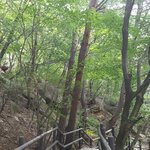 [EXO] 엑소팬 대단한거 ㄹㅇ인거 <b>등산</b>까지 따라해...