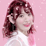[사쿠라] 벚꽃<b>아씨</b>