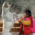 헐 뭐야 <b>새벽판</b> 애들 왜이렇게 착해