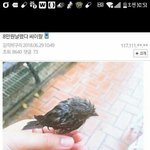 밥먹고 <b>자면</b> 살찌냐