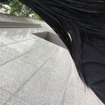시봉방 머리 봐ㅠㅠㅠ