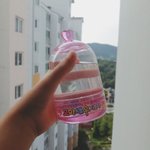 [씨몽키] 꼬마 <b>새우</b> 기르기 2편