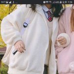 후리스 추반좀