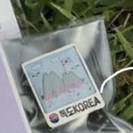 [드루와] 독도<b>뱃지</b> 같이살사람