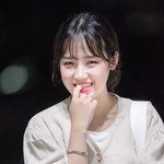 최유정 이사진