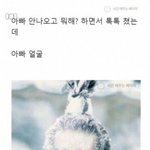 [댓글부탁해] 난 <b>코트</b>입고 학교갈거다