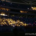 [드루와] 얘네도 <b>발광</b>력 쩐다