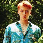 [EXO] 솔희파티 고고