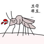 [드루와] 레드벨벳 까글 솔직히