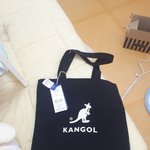 [댓글부탁해] 이 조합 어때?