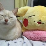 [댓글부탁해] @@고민털어 놓는 방
