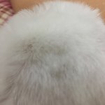 [드루와] 언제부터 동복<b>입지</b> ?