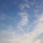 <b>방학때</b> 이룬거 쓰고가자 !